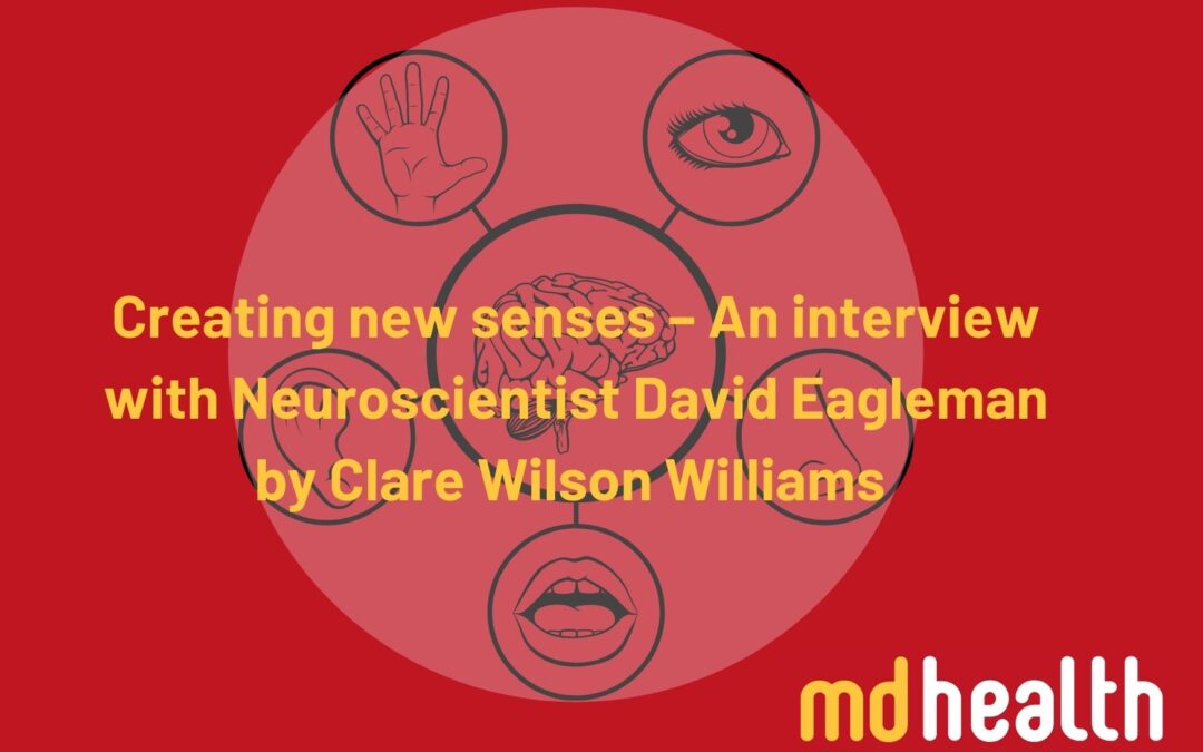 Creating new senses – An interview with Neuroscientist David Eagleman