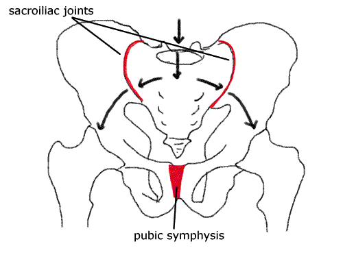 Areas of pelvic girdle pain