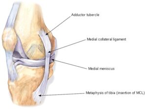 AC joint injury